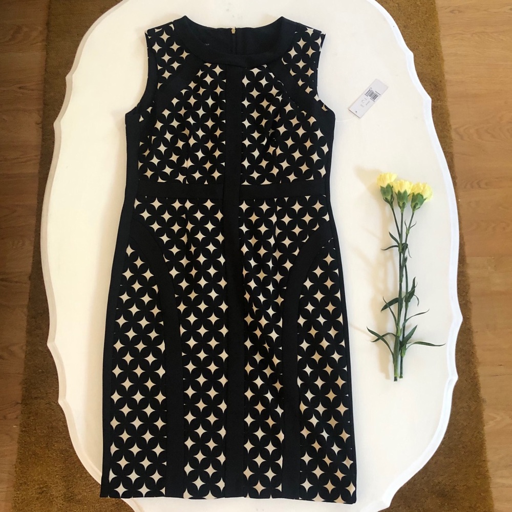 Donna Morgan Black and Cream Midi Dress